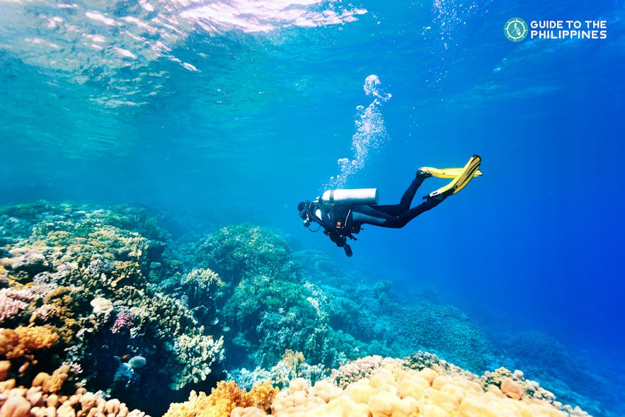 Scuba diver near coral reef