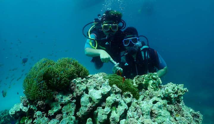 Scuba diving at Boracay island with free photo and video coverage