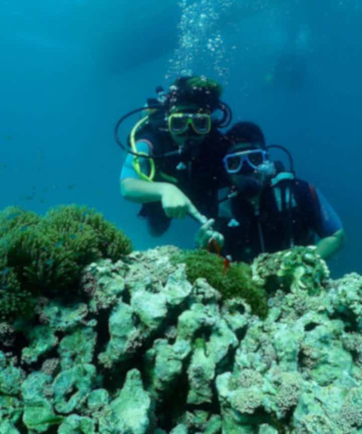 Boracay Diving Courses and Packages