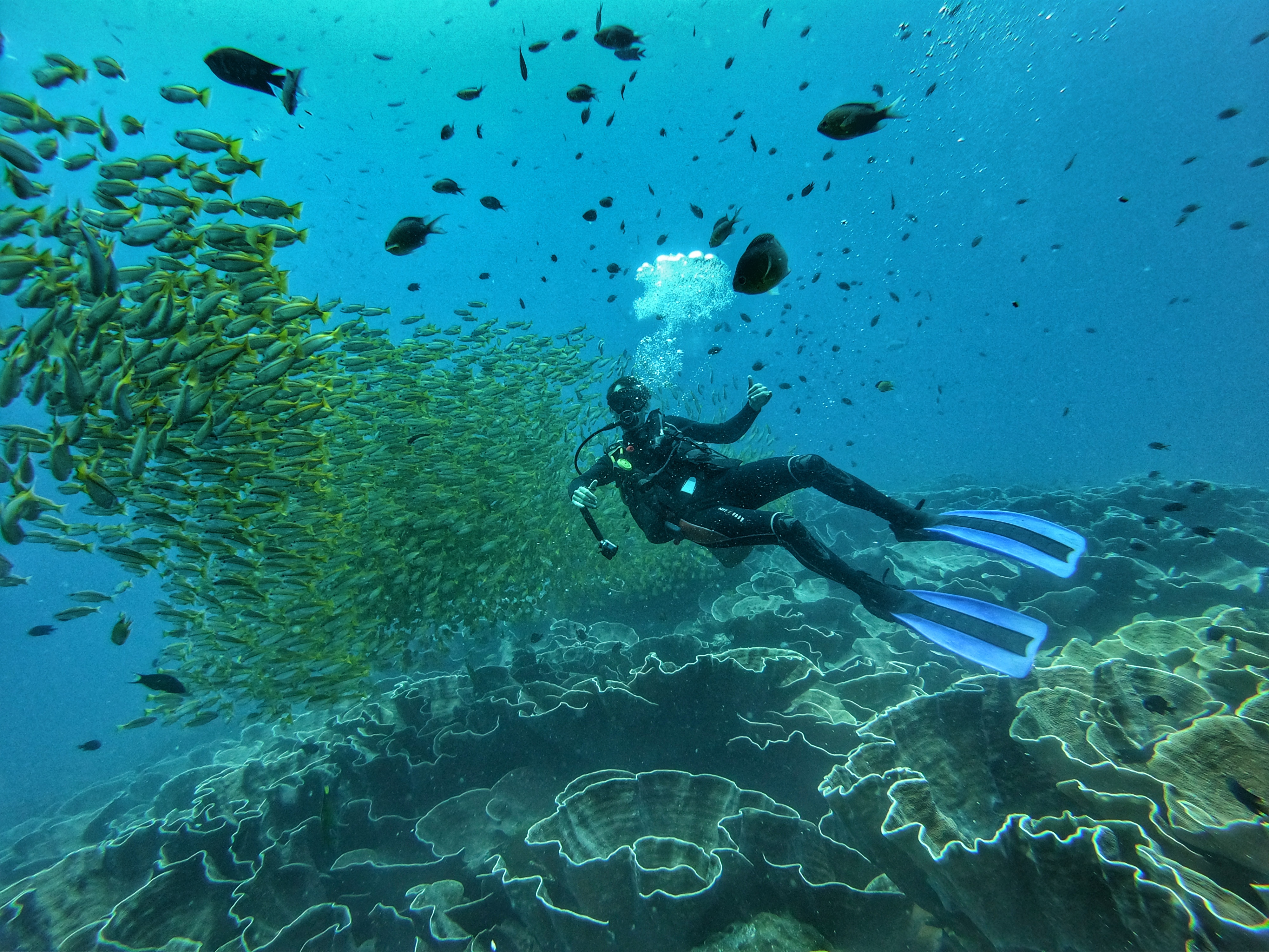 El Nido Discover Scuba Diving