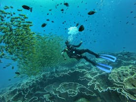 El Nido Discover Scuba Diving