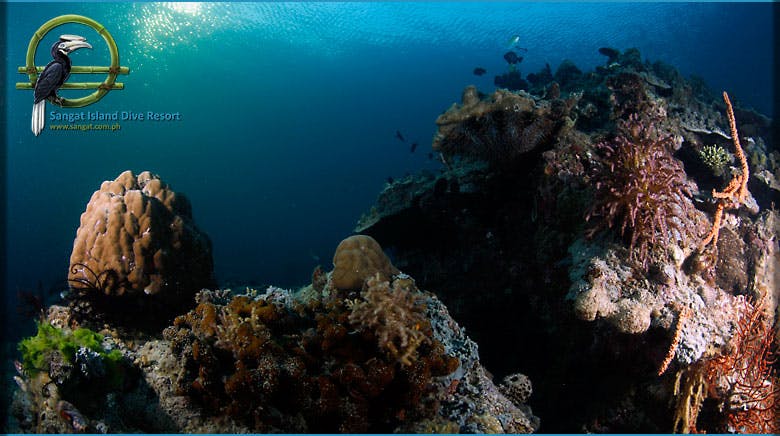 7D6N Coron Diving Package with Airfare | Sangat Island Dive Resort from Manila + Open Water Dives