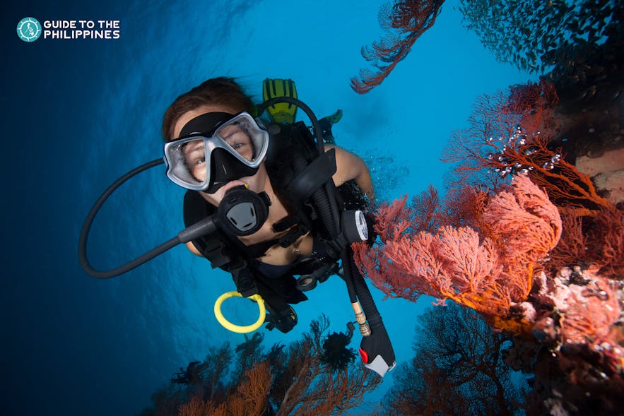 Diver swims by vibrant coral