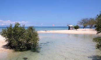 Manuel Uy Beach