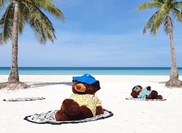 Bears soaking up under the sun at the beachfront of Discovery Shores Boracay
