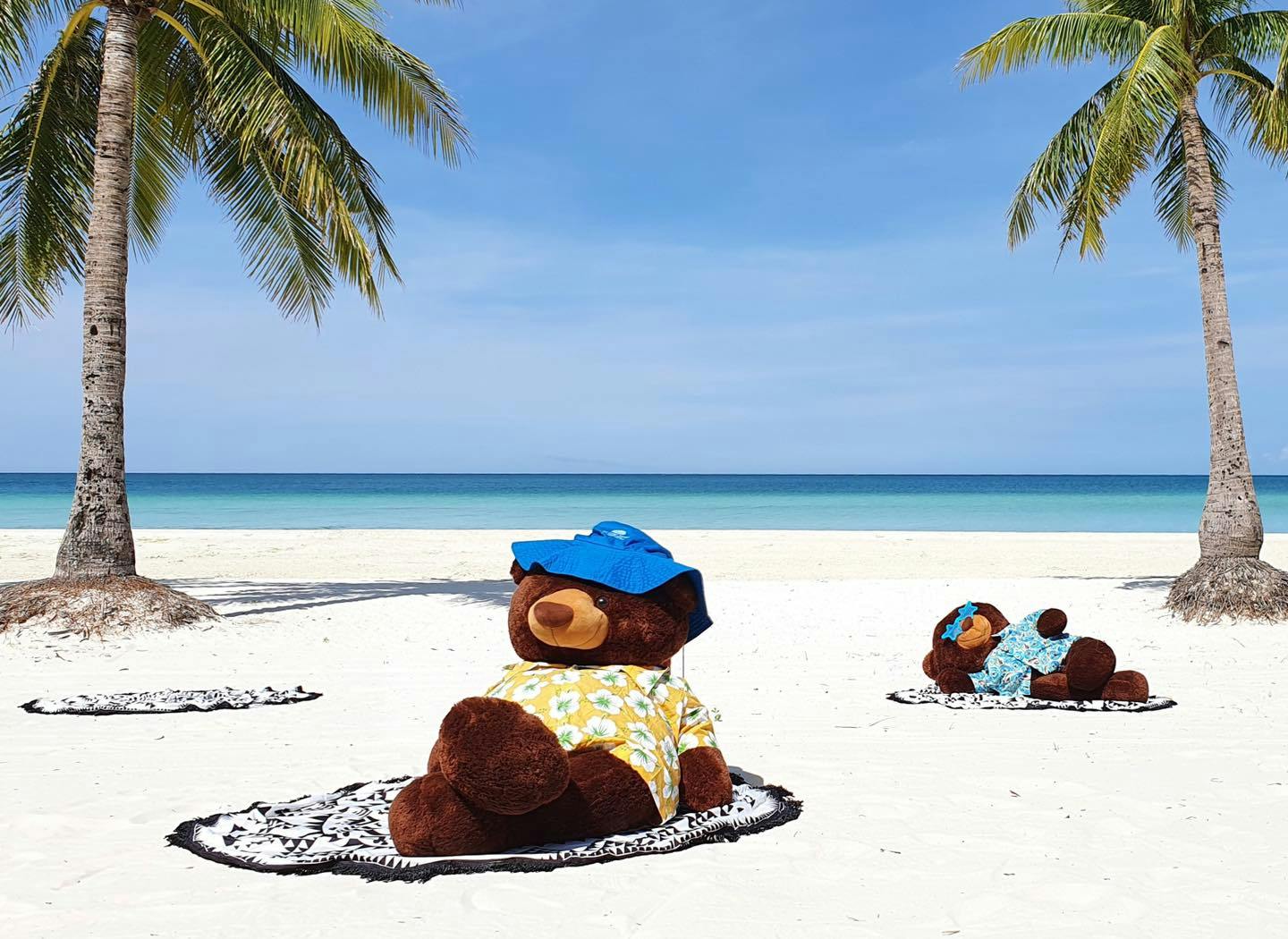 Bears soaking up under the sun at the beachfront of Discovery Shores Boracay