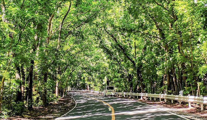 Get your much needed day break and fresh air from La Union