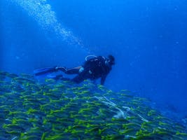 El Nido Diving Courses and Packages