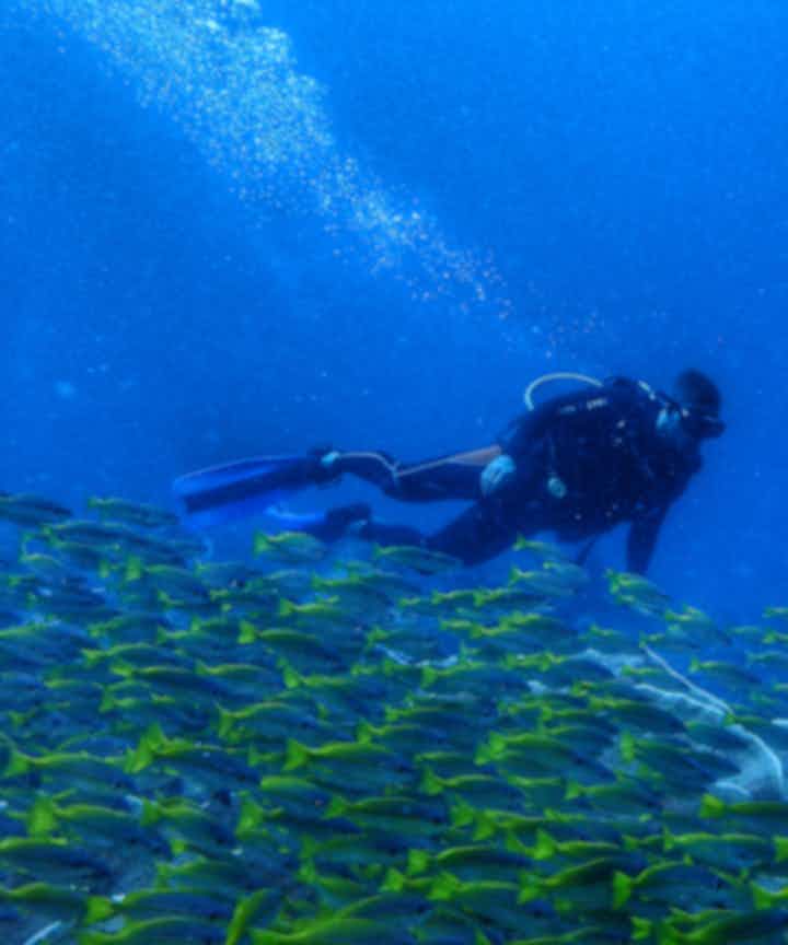 El Nido Diving Courses and Packages