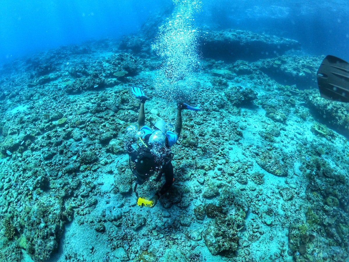 Palawan El Nido PADI Divemaster Certification Course with Equipment ...