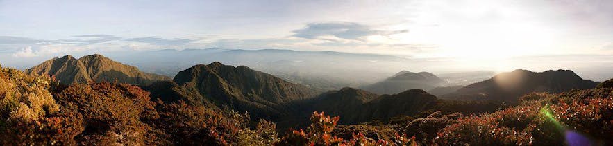 Panoramic view of Mt. Kitanglad's ridges
