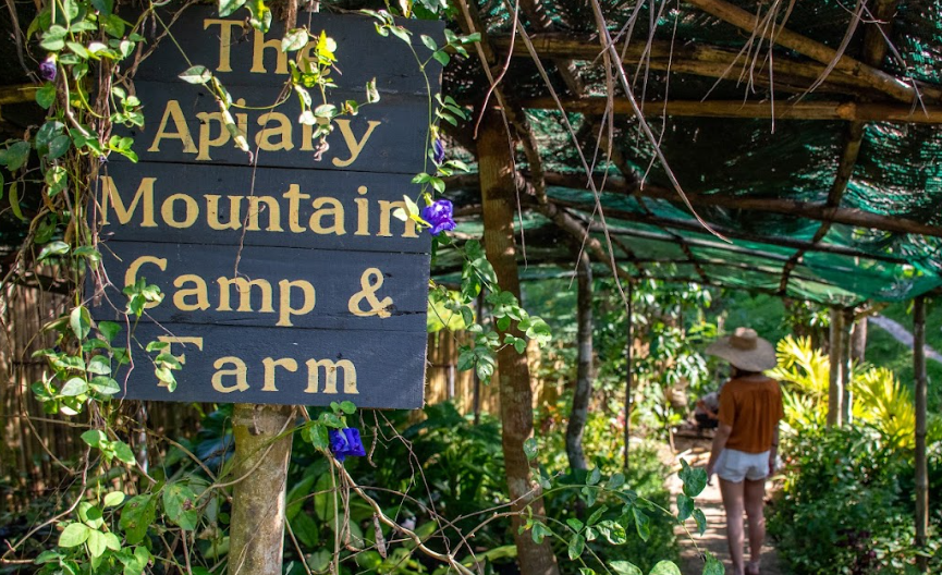 Drop by The Apiary Farm