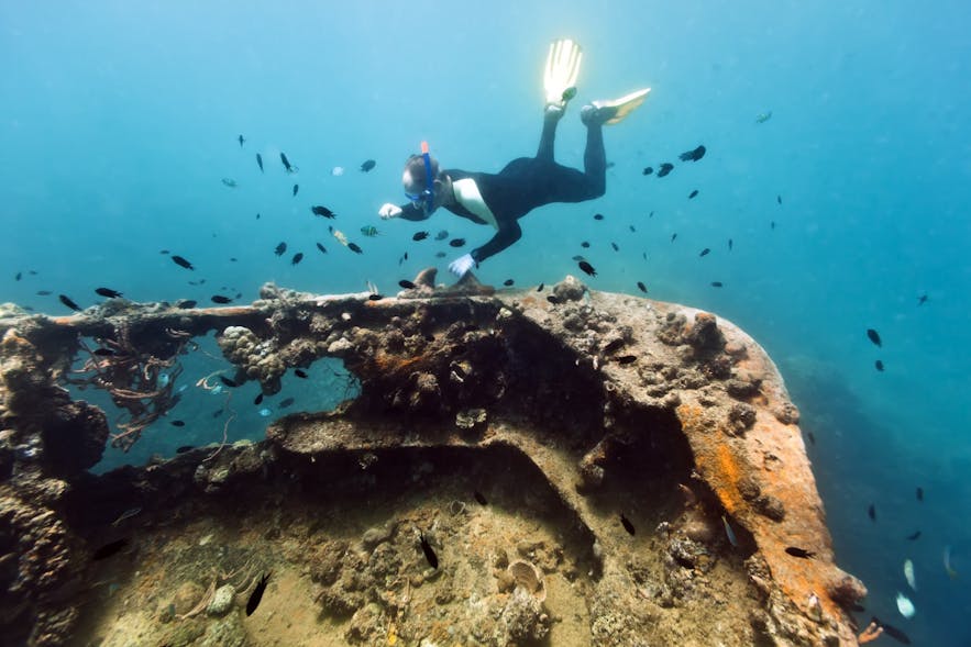 Scuba diver at the Lusong Gunboat Shipwreck