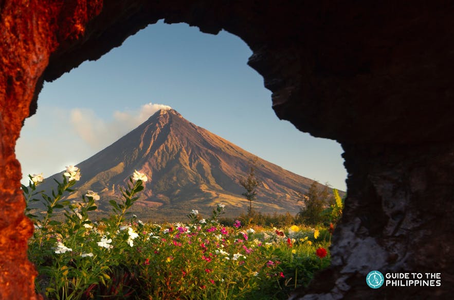 View of flower fields by Mayon Volcano