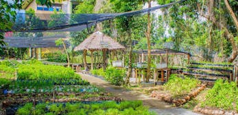 Bohol Bee Farm Resort and Restaurant