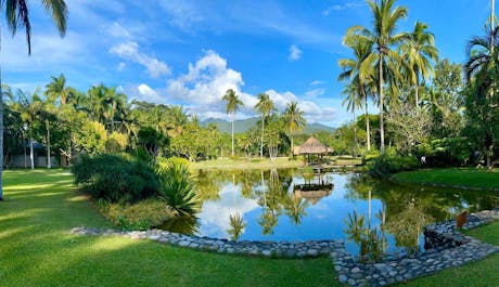 Lagoon at The Farm at San Benito, Lipa City, Batangas
