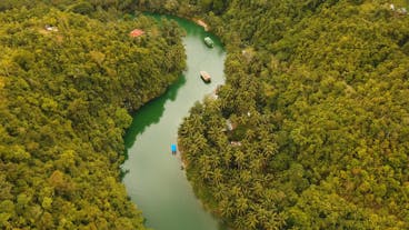 Book this tour and visit the Loboc River Cruise