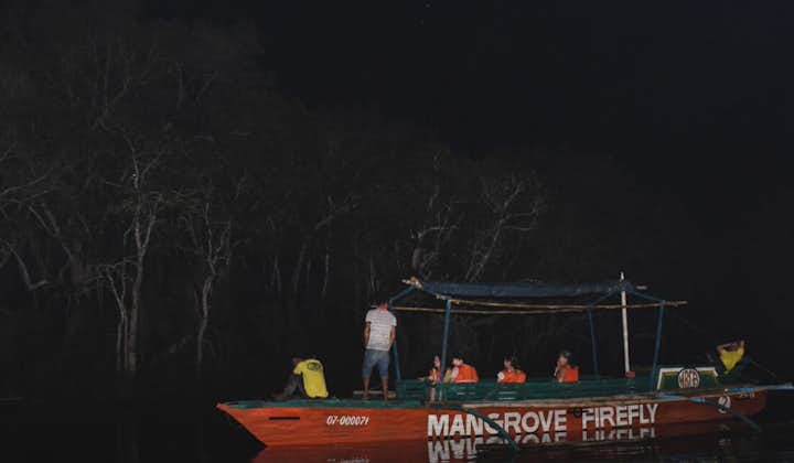 Go on a firefly cruise in Bohol