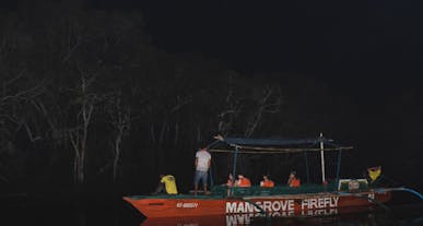 Go on a firefly cruise in Bohol