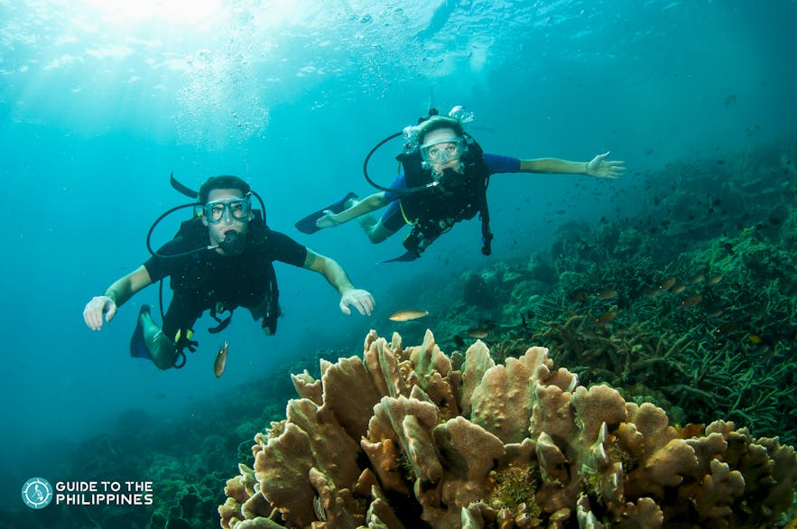 Tourists scuba diving in the Philippines