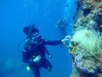 Fun Diving with Skylodge Dive Shop, Coron, Palawan