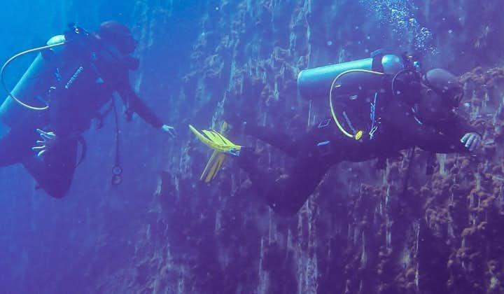 Open Water diving with Skylodge Resort Coron, Palawan