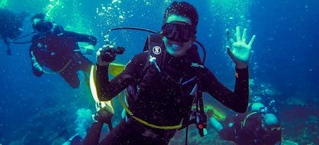 Open Diving with Skylodge Dive Shop Coron, Palawan