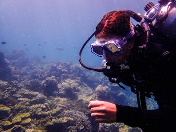 Open Water Diving with Skylodge Resort Dive Shop, Coron, Palawan