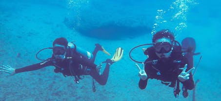 Nitrox Diving in Coron's Dimanglet Reef and Siete Pecados in Coron, Palawan