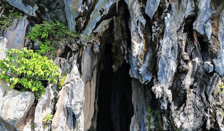 See the majestic El Nido Cathedral Cave