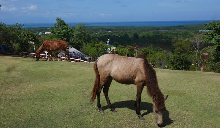 Have a picnic in the famous Mitra's Ranch in Puerto Princesa Palawan with an amazing view!