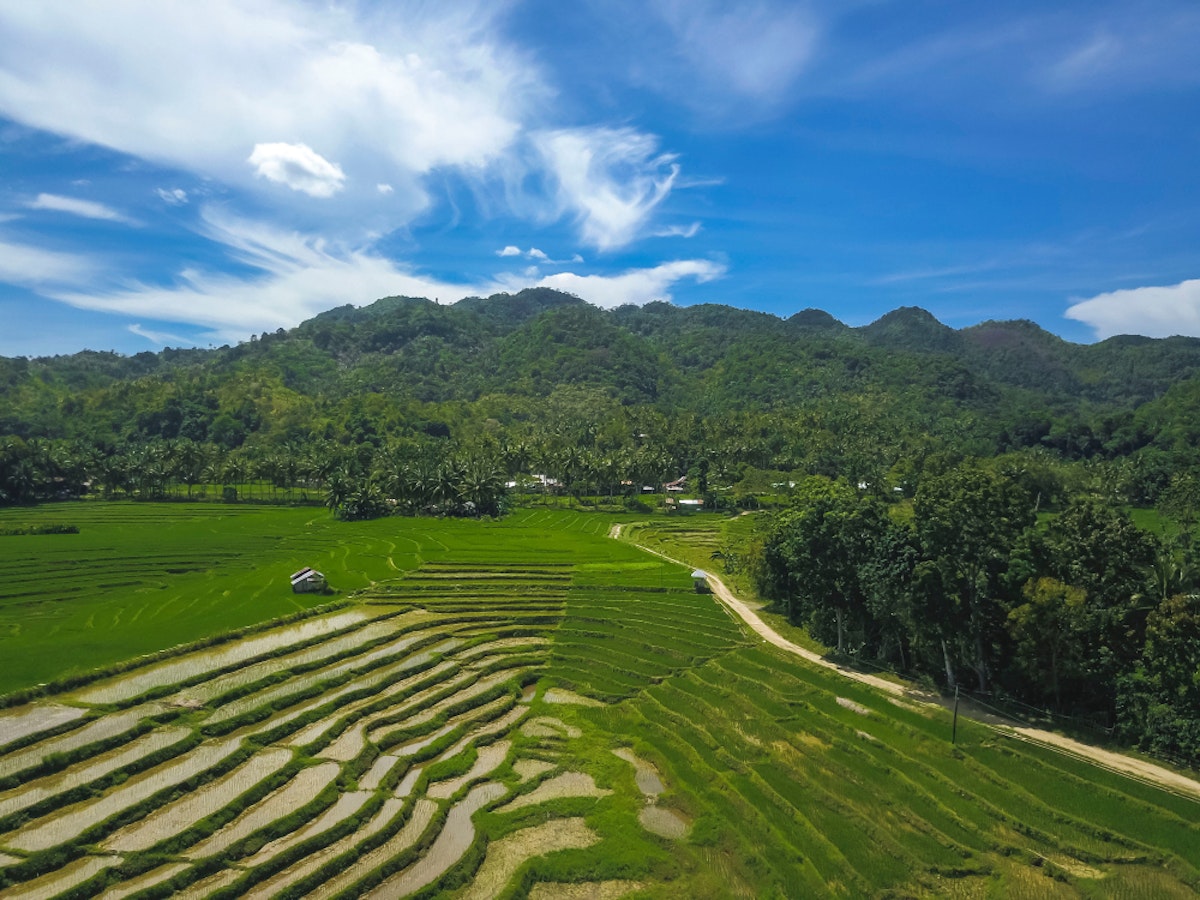 Bohol Can-Umantad Falls, Candijay Rice Terraces & Canawa Cold Spring ...