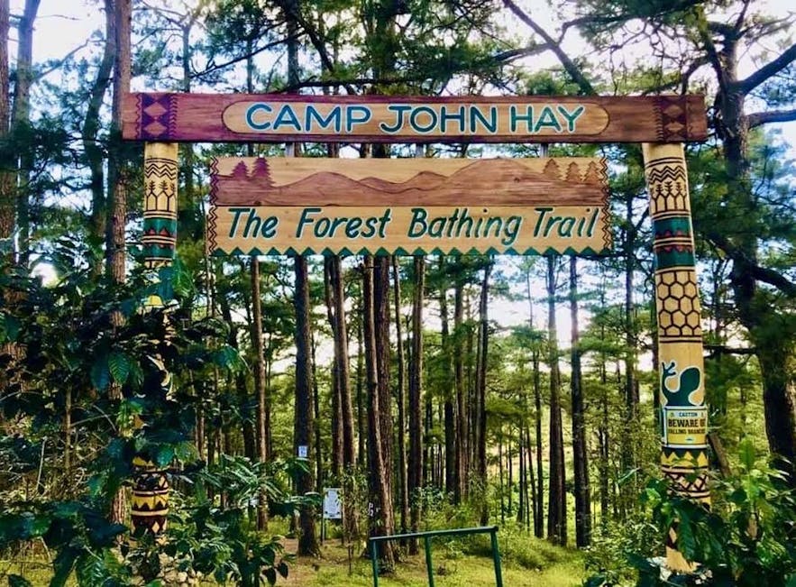 Entrance to the forest bathing trail in Camp John Hay