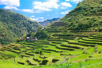Rice terraces in the Philippines. The village is in a valley among the rice terraces. Rice cultivation in the North of the Philippines, Batad, Banaue.