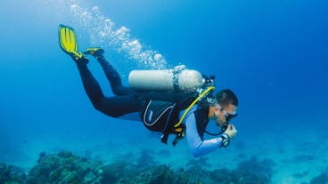 Bohol Panglao Three-Day PADI Open Water Course with Certification, Snacks, Drinks & Pick-up