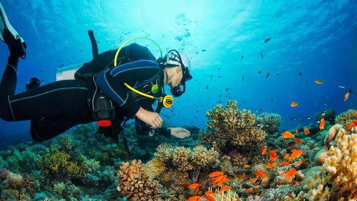 PADI Enriched Air Nitrox Specialty Dive Course | Panglao Bohol