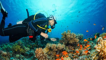 PADI Enriched Air Nitrox Specialty Dive Course | Panglao Bohol