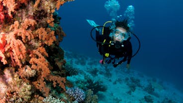 PADI Adventure Dive | Haka Dive Center Panglao Bohol