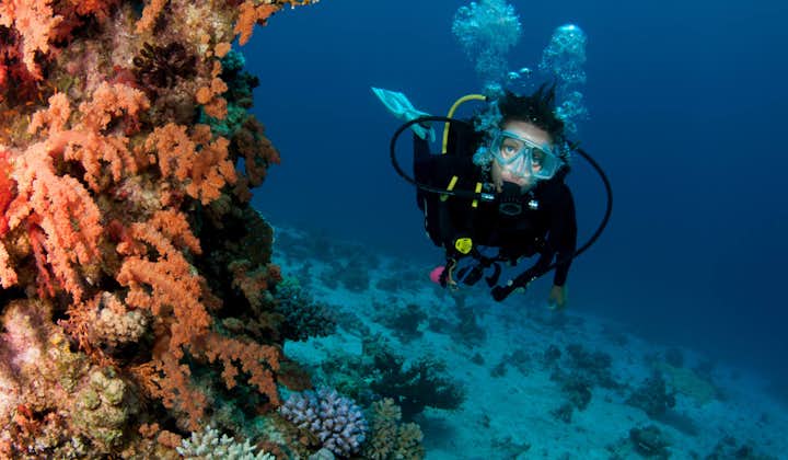 PADI Adventure Dive | Haka Dive Center Panglao Bohol