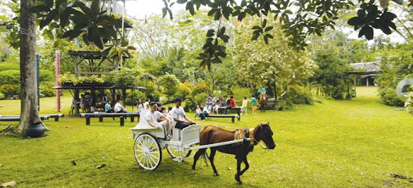 Ride a carriage at Davao Malogos Resort