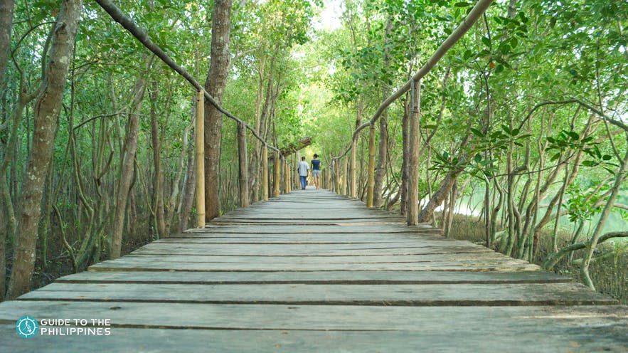 Pagatpat Mangrove Park