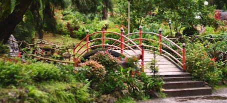 Sunny day at the Botanical Garden, part of Cultural & Heritage Tour