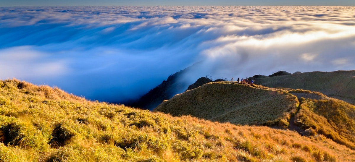 Mt. Pulag via Ambangeg Trail Private Hiking Package from Manila with ...