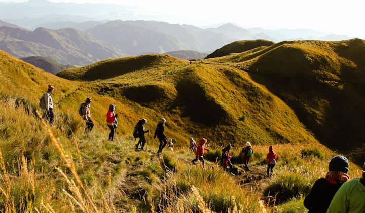 Mt. Pulag Benguet Private Hike via Ambangeg Trail