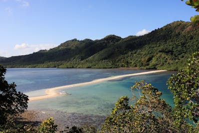 See the sandbar at the Snake Island in El Nido, Palawan