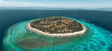 보홀의 발리카삭 섬은 여러 종의 수생 동물을 볼 수 있는 바다로 둘러싸인 원형 섬입니다.