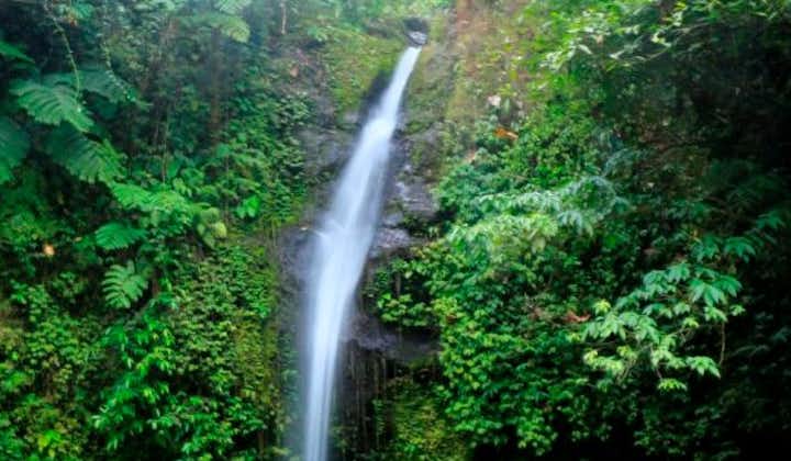 Albay Busay Falls Adventure Private Tour with Lunch