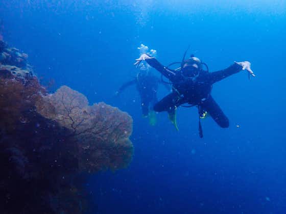 Discover Scuba Diving in Coron