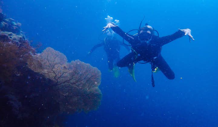 Discover Scuba Diving in Coron