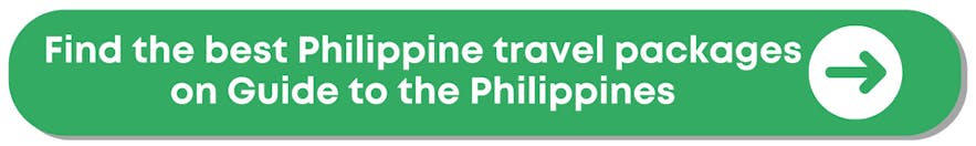 菲律宾 15 个最佳旅游景点：海滩、潜水点、河流、瀑布、历史遗迹